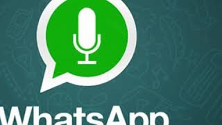 Puñalada de carne - Audios de WhatsApp