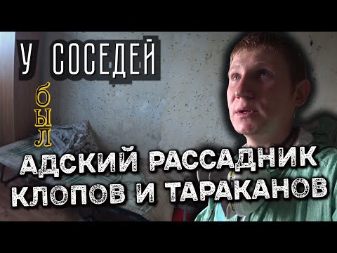 Клопы и тараканы у соседей, огромный очаг — как решилась проблема