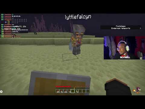 Minecraft & Chill