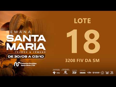 LOTE 18 FSM A3208