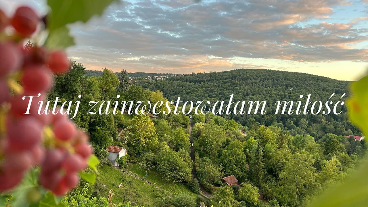 Moje siedlisko między winnicami – jak zbudowaliśmy przytulną odskocznię od codzienności