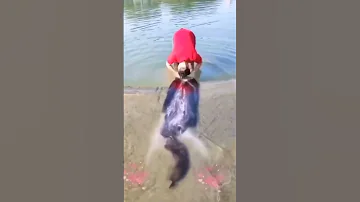 بنت شعرها طويل 