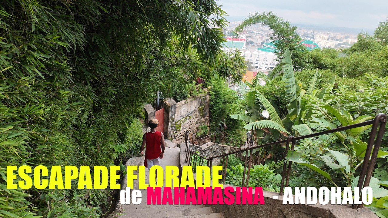 “Escapade Florale : De Mahamasina à Andohalo” Madagascar 2026 -4k