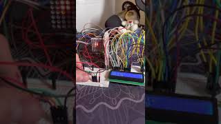 CS120B Final Custom Lab Demo