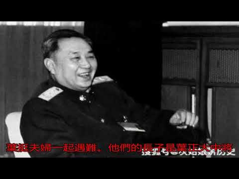 葉挺將軍犧牲后10年，兒子揭秘死因，無法原諒對方_蔣介石