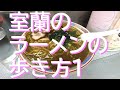 【よりみちぶらつく】#54 室蘭のラーメンの歩き方1 味の大王 室蘭本店