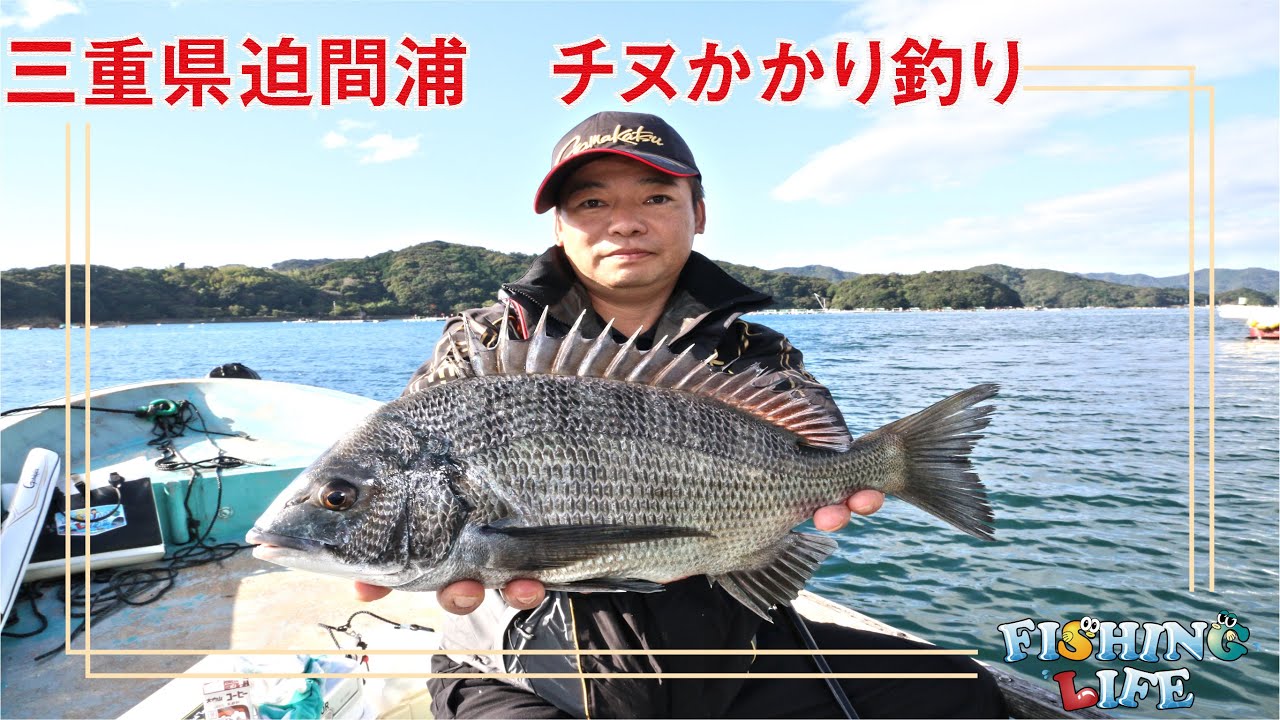 三重県迫間浦 チヌかかり釣り Youtube