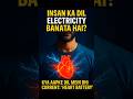 INSAN Ka Dil Battery Banata Hai âš Science Fact Shorts Facts Youtubeshorts Youtube Viral INSAN Ka Dil Battery Banata Hai âš Science Fact Shorts Facts Youtubeshorts Youtube Viral