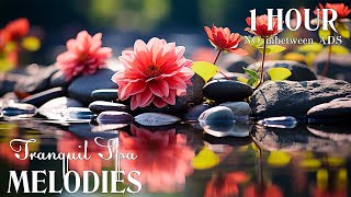 Tranquil Relaxing Spa Music - Create the Perfect Calm Atmosphere Anytime