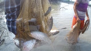Net fishing Videos | today big fish catching videos | fish catching