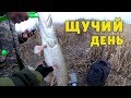 ЛОВЛЯ ЩУКИ поздней осенью на спиннинг | Хороший клёв | Джиг | Рыбалка | Fishing