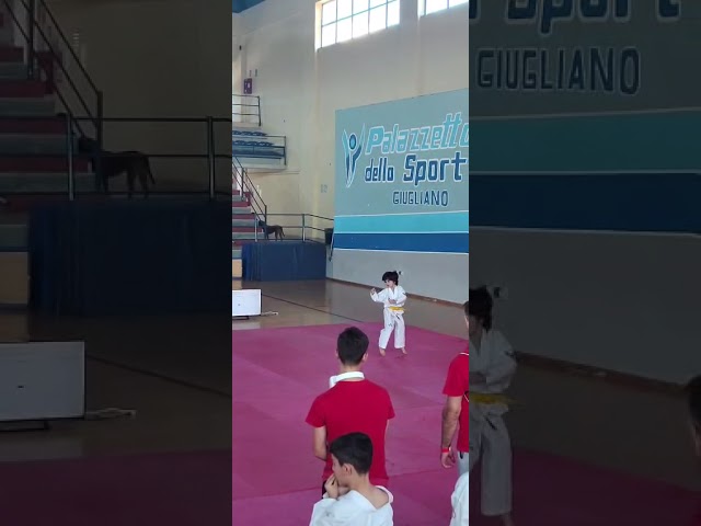 Francesco S freestyle