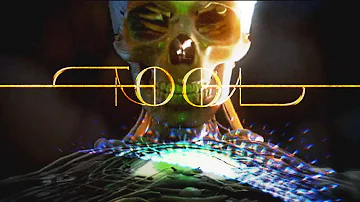 Fear Inoculum Reaction After 13 Years Waiting - Tool Fan's First Listen