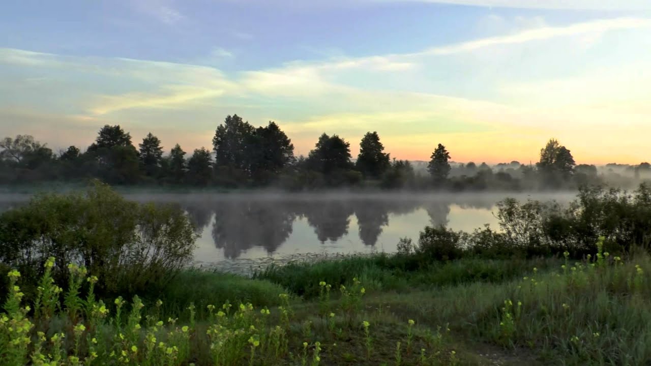 Березина, утренняя роса - YouTube