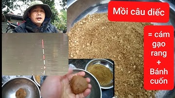 Chia sẻ bài mồi truyền thống câu cá diếc bằng cám gạo rang với bánh cuốn