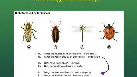 Unit 2: How to Use a Dichotomous Key