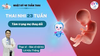 Thai 23 tuần: Tâm trạng mẹ thay đổi | Sự phát triển của thai nhi tuần thứ 23 | Bs. Lê Hữu Thắng screenshot 3