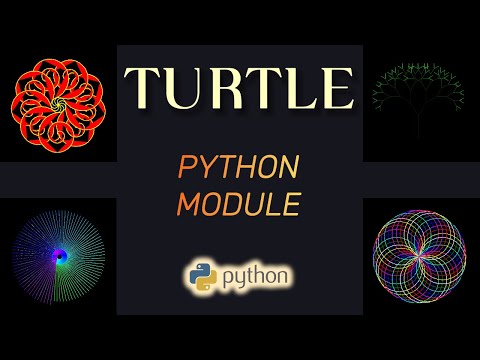 Module Turtle de Python : Python Turtle (DESSINER AVEC PYTHON)