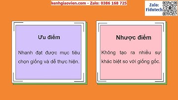 Giáo án powerpoint CĐ4 bài 10: Phương pháp chọn, tạo...| GA điện tử Công nghệ 10 - CNTT cánh diều