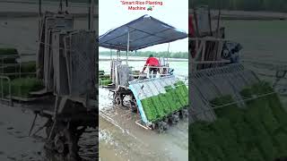Amazing Rice Planting Machine 🌾🚜 | Modern Farming Technology in Action 😱#farming #viralvideo