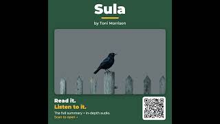 Sula by Toni Morrison - Book Summary