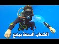 غوص الشعاب السبعة وايونا في مدينة ينبع السعودية || Seven reefs , Nemo garden , Aiona wreck