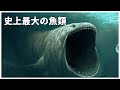【ゆっくり解説】史上最大の硬骨魚類リードシクティス