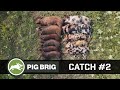 Pig Brig Feral Hog Trapping | 19 more Feral Hogs eradicated | Texas Jagd