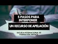 Cómo Hacer Un Recurso de Apelación // Explicación de un Profesor//