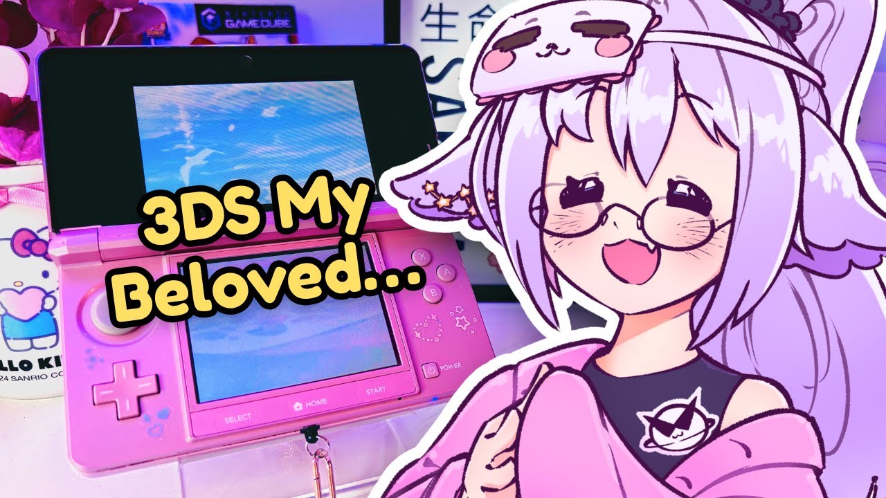 I Built My Dream Modded 3DS