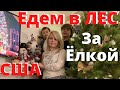 ВЛОГ Жизнь в США / Едем за Елкой в ЛЕС / Готовимся к новому году 2021