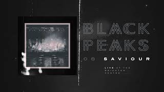 Black Peaks - Saviour (Live at The Brighton Centre)
