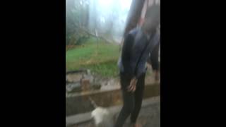 WP 20141012 004