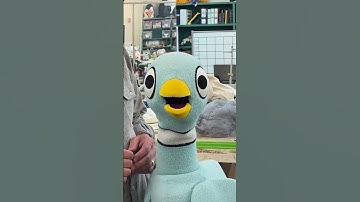 Mo Willems and The Pigeon Tour The Muppet Creature Shop #mowillems #pigeon #kidsvideo