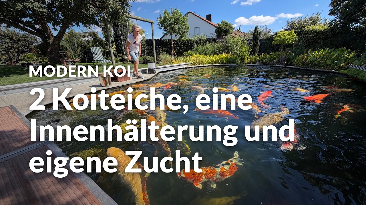 Mit Makoto bei Doris | Modern Koi Blog #8357