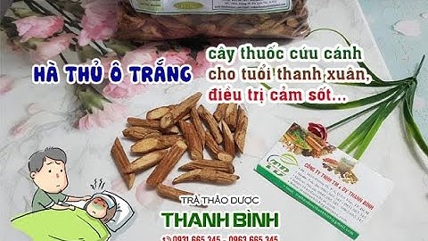 Hà Thủ Ô Trắng | Công dụng của hà thủ ô trắng