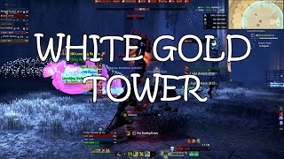 ESO - White Gold Tower Normal - A Quick Guide