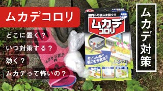 6月はムカデ対策！我が家の場合はをこれを使います