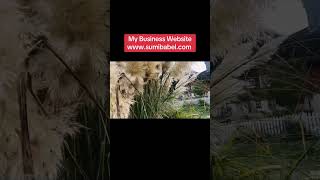 Work from home #digitalmarketing #tending #england #flypシ