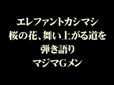 桜の花、舞い上がる道を エレファントカシマシ 弾き語り マジマＧメン