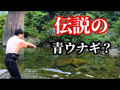 I set up an eel trap and caught the best eel I've ever caught