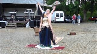 Tanec na střepech s hadem.