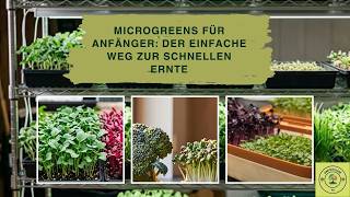 Microgreens für Anfänger: Der einfache Weg zur schnellen Ernte       GartenOase TV