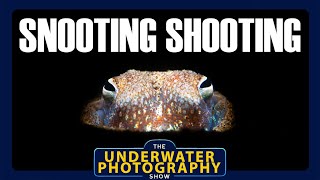 Tips & Techniques For Shooting With Snoots