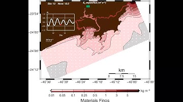 Numerical modeling of sediment transport