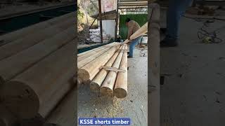 Timber log making process for mass timber building #feed #machine #timberhandling #woodmachinery