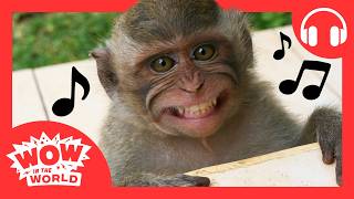 Do Monkeys Like Music? 🐒🎵 | Wow in the World screenshot 3