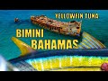 Into the blue s8e10 bimini yellowfin
