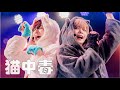 【ライブ動画】猫中毒踊って歌ってみた【こうき×ゆうじ】