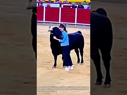 투우장에서 펼쳐진 거짓말 같은 소와의 교감 현장 #worker #process #bullfight #amazing #bonding #oddlysatisfying thumbnail